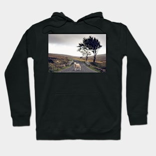 Military Road Sheep Hoodie